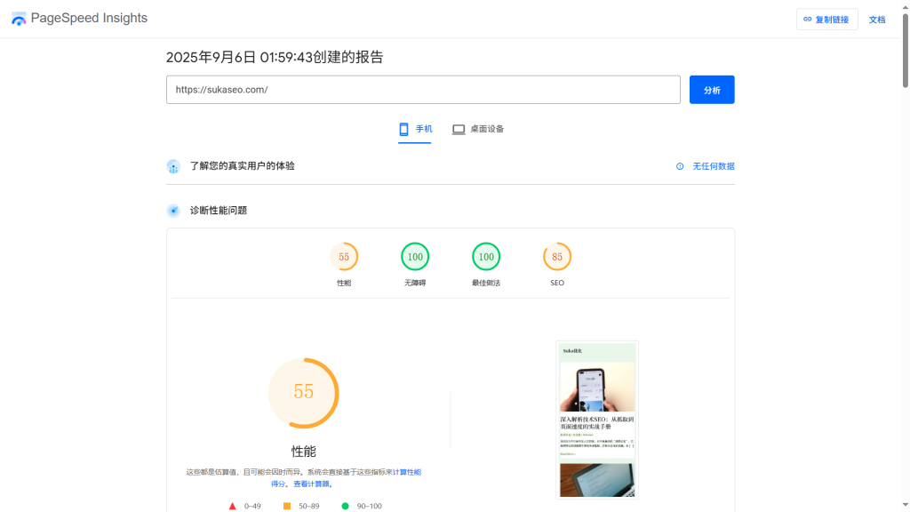 2025年9月6日PageSpeed Insights网站检测
